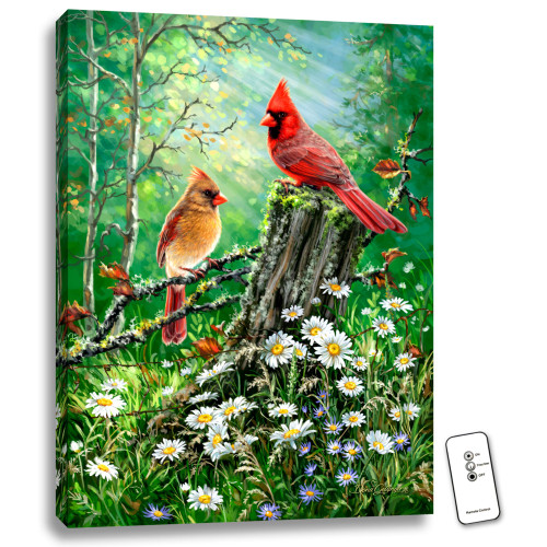 24" x 18" Green and Red Cardinal Birds Back-lit Wall Art with Remote Control