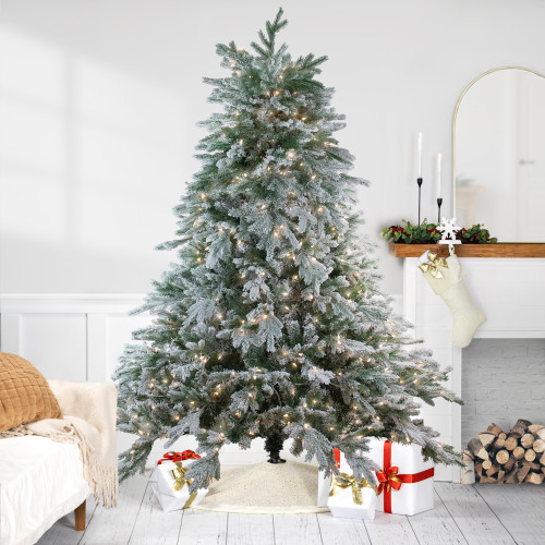 7.5' Pre-Lit Full Frosted Butte Fir Artificial Christmas Tree - Clear AlwaysLit Lights