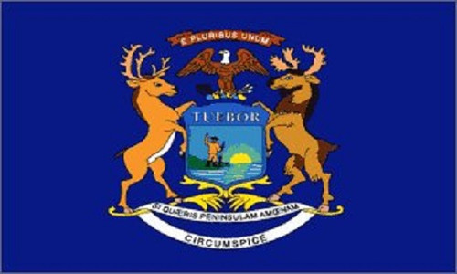 Michigan Flag MI State Banner Pennant 3x5