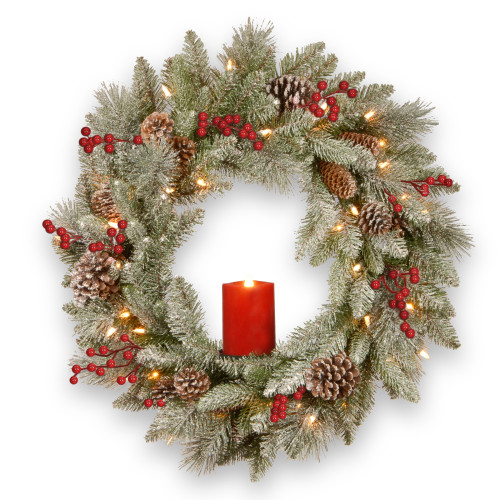 Pre-Lit Snowy Bristle Berry Artificial Christmas Wreath, 24-Inch, White LED Lights