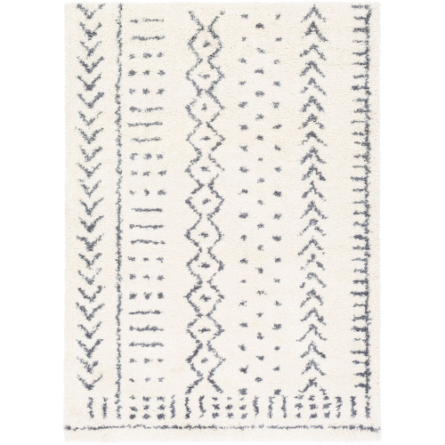 5'3" x 7'3" White and Gray Ethnic Design Rectangular Machine Woven Area Rug