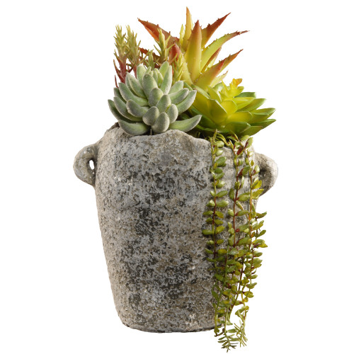 11.8” Succulent Plants in Antique Style