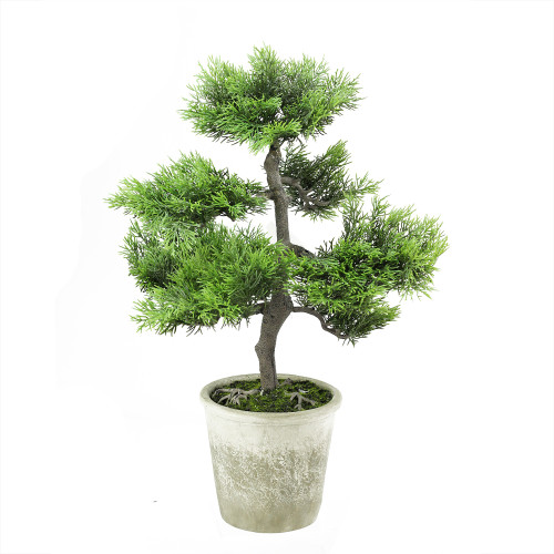20.25" Green Artificial Japanese Bonsai Tree in Distressed Finish Pot - 32277537