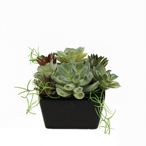 4.5" Green Potted Mixed Succulent Artificial Plant