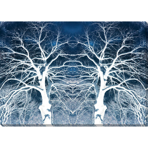 48” x 34” Blue and White Gemini Tree Printed Canvas Wall Art Decor - 33442464