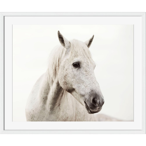 White and Black Horse Printed Rectangular Framed Wall Art Decor 18" x 16" - 33417878