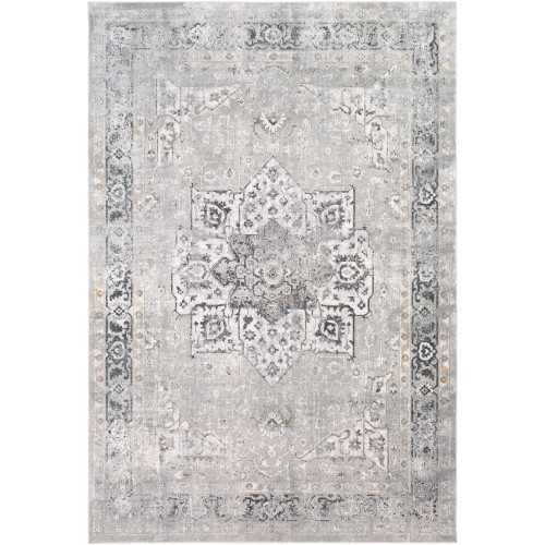 2.5' x 5' Distressed Finish Cloud Gray and Ivory Rectangular Area Throw Rug