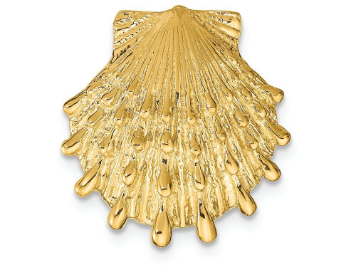 FJC Finejewelers 14k Yellow Gold Lions Paw Shell Slide Charm SL606A