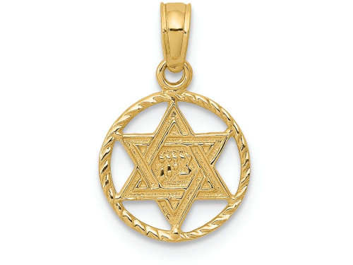 FJC Finejewelers 14k Yellow Gold Star Of David in Circle Frame Charm C4458A