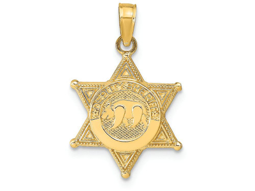FJC Finejewelers 14k Yellow Gold Deputy Sheriff Badge with Bear Charm C3098A