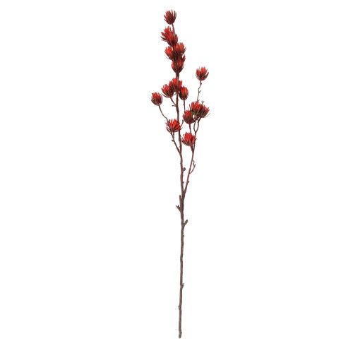 37" Maroon Red and Brown Artificial Desert Protea Blooming Floral Spray