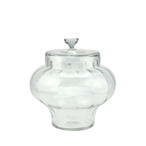 11" Clear Transparent Segmented Glass Container with Lid
