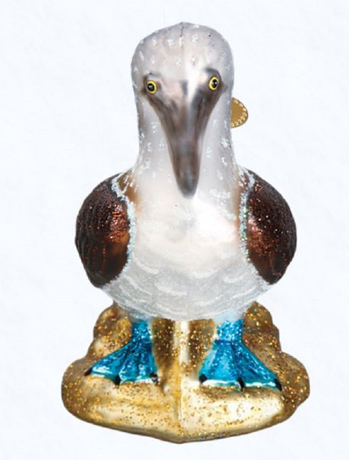 Old World Christmas Blue Footed Booby Bird Glass Ornament 16113 FREE BOX New