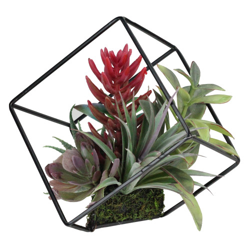 7" Artificial Succulent Arrangement in Offset Metal Wire Frame