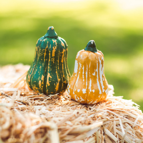 The Queen's Treasures Set of 2 Gourds Packed in Crate For 18 Inch Dolls