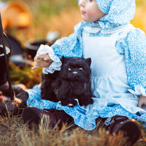 The Queen's Treasures Little House On The Prairie Black Cat For 18 In Dolls