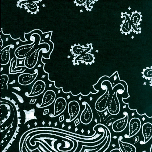 Hav-A-Hank Paisley Bandanna 22"X22"-Black