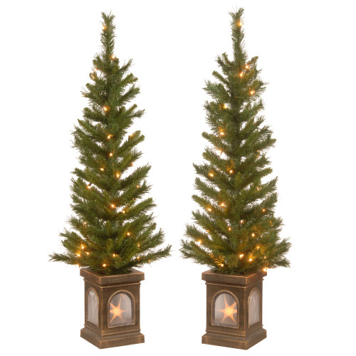 4’ Pre-Lit Potted Lehigh Valley Entrance Tree with Clear Lights – Set of Two