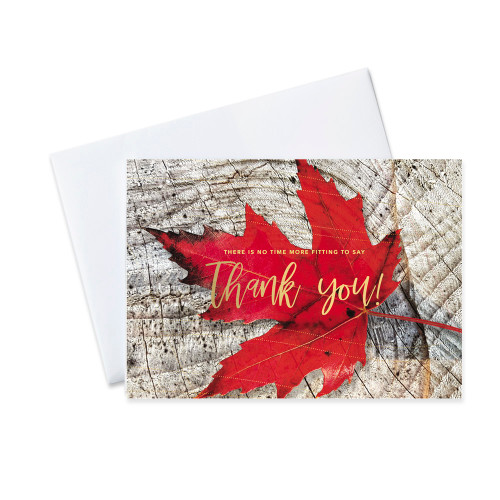 CEO Cards Thanksgiving Foil Printed Greeting Cards Box Set of 25 Cards & 26 Envelopes - TH1802