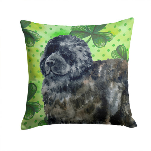 Newfoundland St Patrick's Fabric Decorative Pillow BB9845PW1414