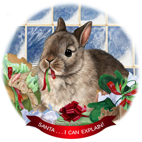 Netherland Dwarf Rabbit Porcelain Ornament Pet Gift 'Santa.. I Can Explain!