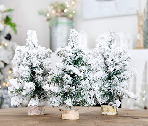 Mini Christmas Trees 10", Flocked; Canadian Pine Greenery Tabletop Holiday Decor, 3pk