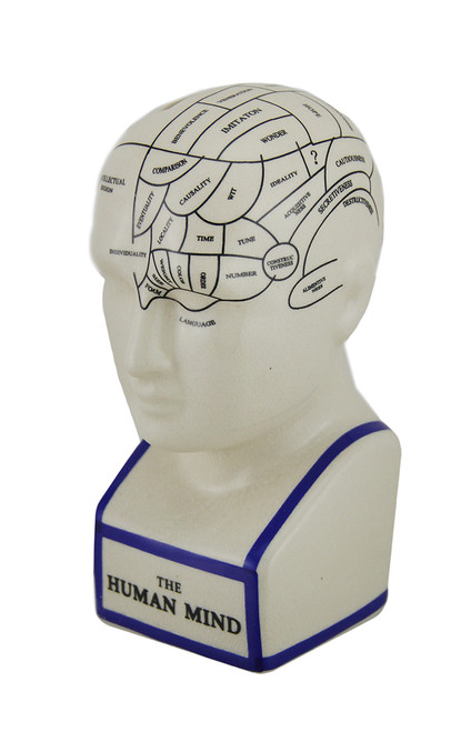 Antiqued White Phrenology Head Porcelain Coin Bank