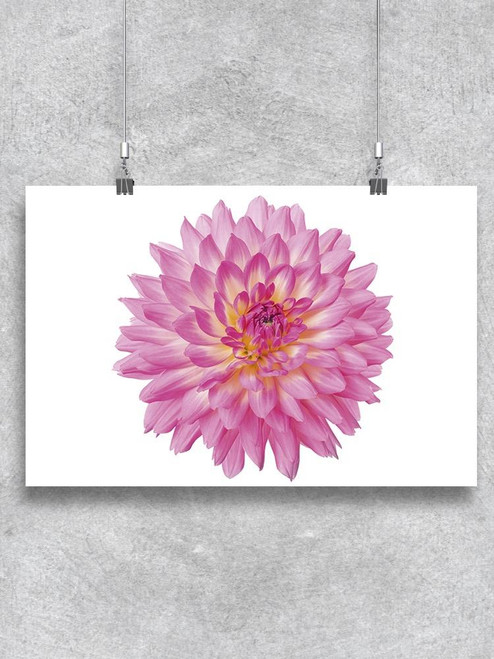 Pink Blooming Dahlia Flower Poster -Image by Shutterstock