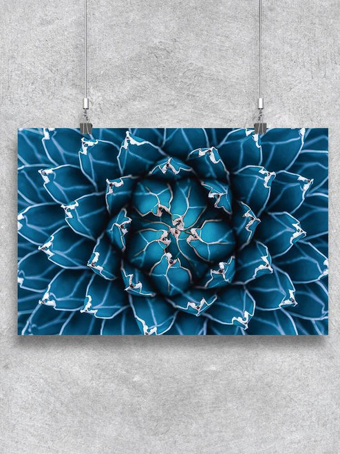 Blue Agave Cactus Poster -Image by Shutterstock