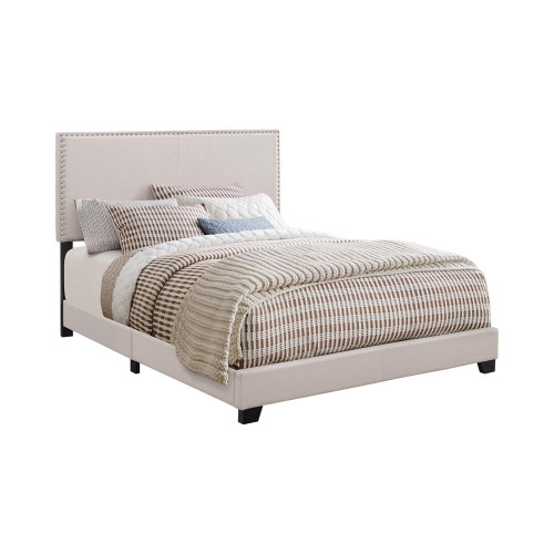 Coaster 350051KW-CO Nailhead Upholstered California King Bed, In Fog