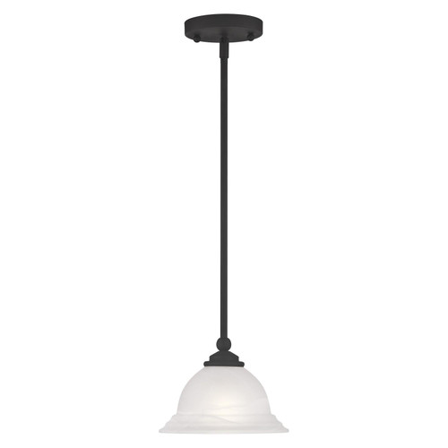 Livex Lighting 1 Light Steel Single Pendant With Black Finish 4256-04