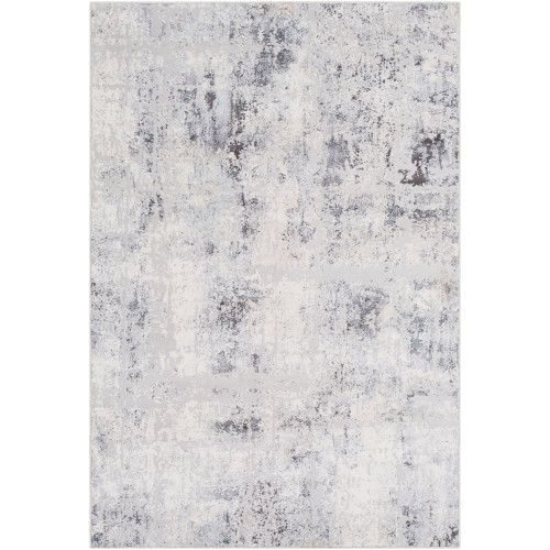 7'10" x 10'3” Distressed Finished Silver Gray and White Rectangular Area Throw Rug
