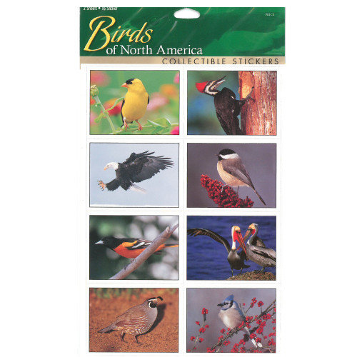 9" Multi-Color Sticker Sheet Birds from North America - 33480125