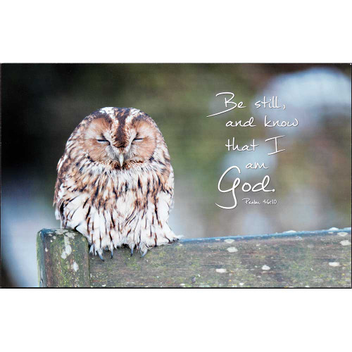 16.8" Brown Owl Bible Quote Rectangular Wall Plaque