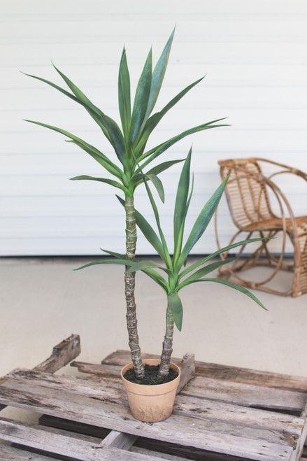 Kalalou Artificial Heneken Plant With Painted Plastic Pot CYF1228