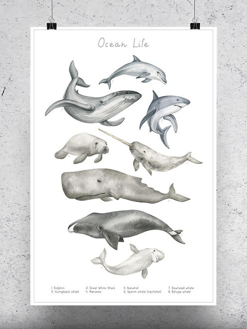 Ocean Life Animals Poster -Image by Shutterstock