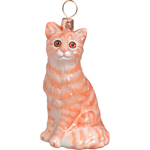 American Shorthair Tabby Cat Blown Glass Polish Christmas Ornament Decoration