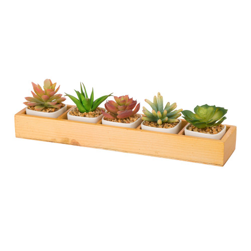 5pc Brown and Green Artificial Succulent Plants with Individual Pots in Plant Box 13" - 34260239