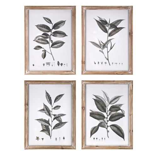 Set of 4 Green and White Aba Botanical Wall Decors 20.75" - 32819428