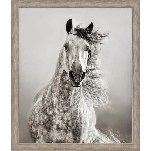 Paragon Casual Animals Caballo De Andaluz Framed Art With Beige Finish 15459