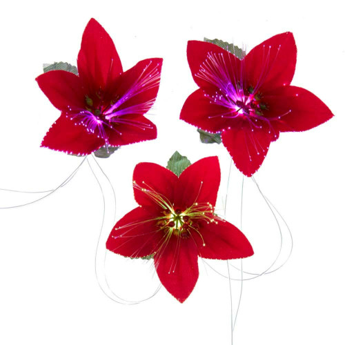 Poinsettia LED Christmas Lights - Red and Multicolor - 13.25' Green Wire - 10ct