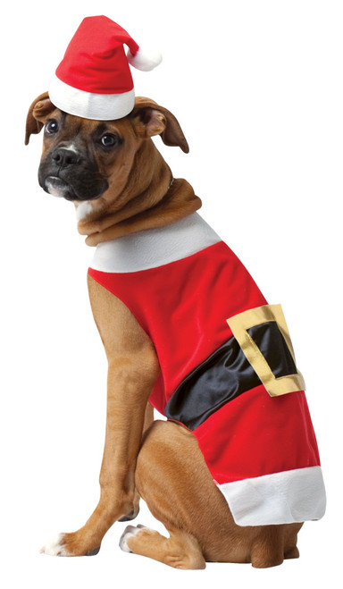 Red and White Santa Christmas Pet Costume - 2XL