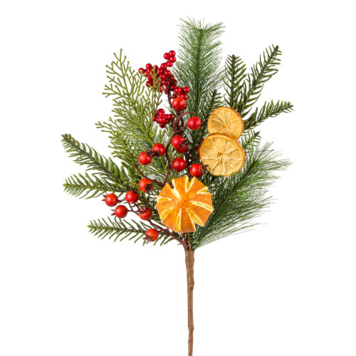 18" Green Contemporary Pine and Dried Fruit Picks