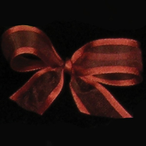 Chocolate Brown Solid Edged Craft Ribbon 0.5" x 120 Yards