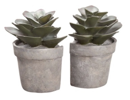 Pack of 2 Artificial Potted Succulent Bookends 6.25"