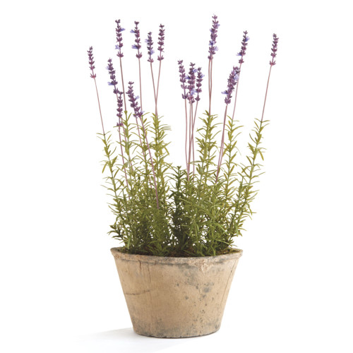 21" Purple and Brown Potted Artificial French Lavender Plant