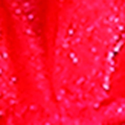 12.5" Sheer Red Contemporary Tall Tie Gift Bag