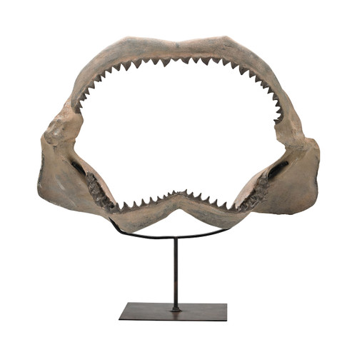21" White Cretaceous Shark Jaw Tabletop Accessory with Black Metal Stand