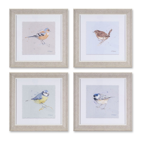 10" Framed Bird Print (Set of 4)