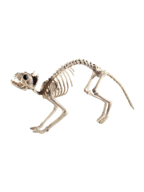 59" Ivory Cat Skeleton Prop Halloween Decoration